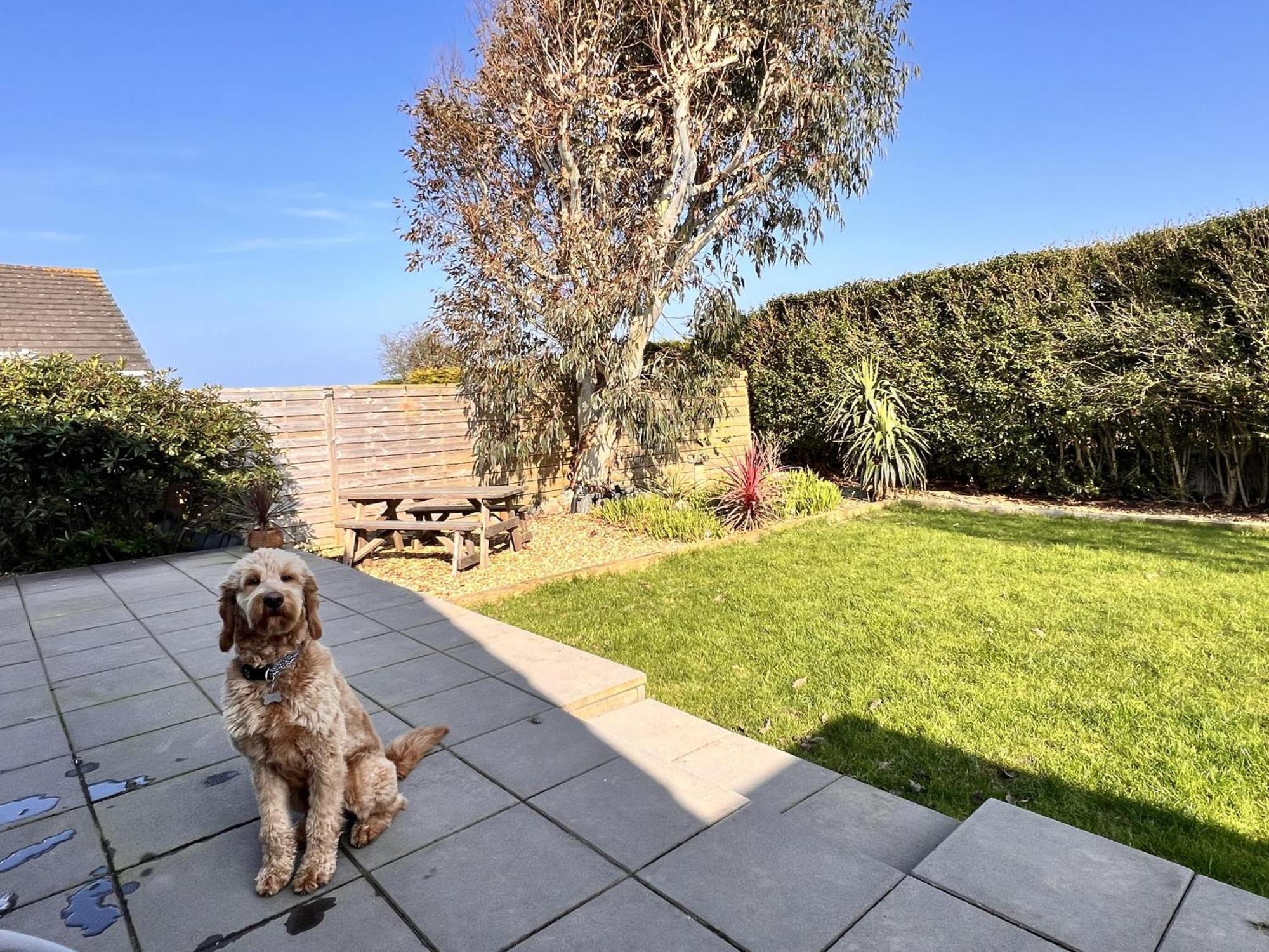 Stylish Modern Home With Parking Enclosed Garden ホーリーヘッド エクステリア 写真